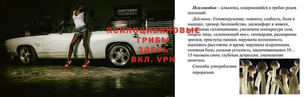героин Бородино
