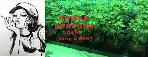 PSILOCYBIN Баксан