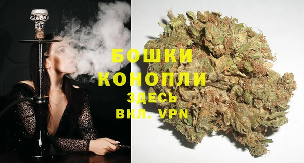 дмт Бронницы