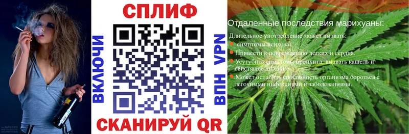 Бошки марихуана сатива Шагонар
